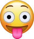 zamn2