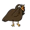 bird1
