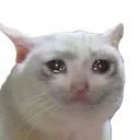 emoji_17