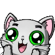 ramosExcited