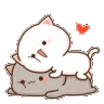 Chat_cute_MJ