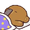 Bear_dort_MJ