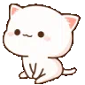 Chat_cutee_MJ