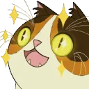 sparklingscampuss