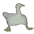 Goose