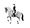 dressage Discord emoji
