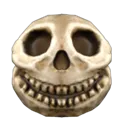 skull