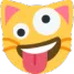 e_crazycat