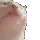 catgroove