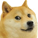 doge Discord Emoji from Niveous Gaming