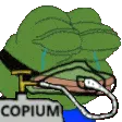 COPIUMOD COPIUMOD