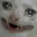 FR_CatSad Discord emoji