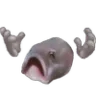 wah wah