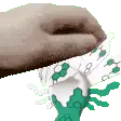 petthezygarde