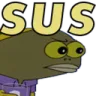 verysus