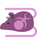 slaanrat