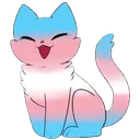 transmeow