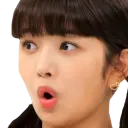reipog