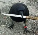 violence violence