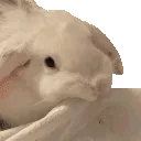 magik_monch magik_monch