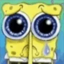 sponge