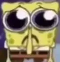 spongesad