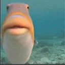 emoji_1 emoji_1