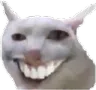 teef