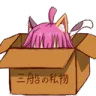 RinaBoxHide