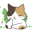 CatYes
