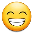 ls_grin