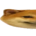 doge_1