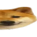 doge_2