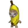 kittybanana Discord Emoji