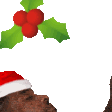 7871christmaskissthehomies Discord Emoji