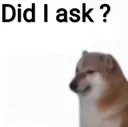 did_i_ask