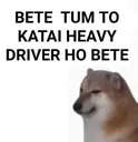 AT_heavy_driver