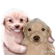 Friends