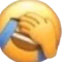 sillygoofyfacepalm
