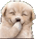 puppygiggle_sal Discord emoji