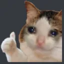 SadCatThumbsUp SadCatThumbsUp