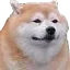 doge_chonker