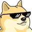 dogecool