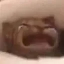 waaaa