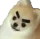 gr