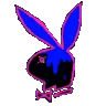 black_playboy