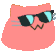 coolcat