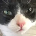 mrmrnehi mrmrnehi