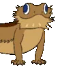 LizardVibe