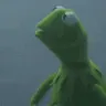 1kermit_lookingfrantic